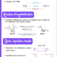 Révise moins, mais révise mieux : Les fiches stratégiques pour viser l’excellence