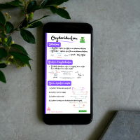 Objectif Première ! Arrête de relire tes cours dans le vide et maîtrise le programme en 5 min par chapitre