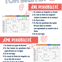 Le programme de révision du Brevet (ou brevet blanc)